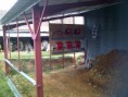 /album/galerie-de-photos/saint-martin-des-bois-20110831-00405-jpg/